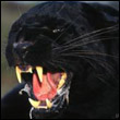 emily44barnstaple's Avatar