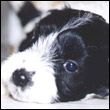 caterinaedenbridge's Avatar