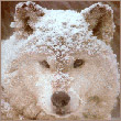 Georgina43Workington's Avatar
