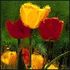 Samantha9fa7b's Avatar