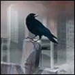 Anita54Hastings's Avatar
