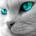 LeopoldoMaldon's Avatar