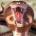 Rodolfo44Radstock's Avatar