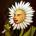 vittoria31petersfield's Avatar