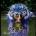 damianopetersfield's Avatar